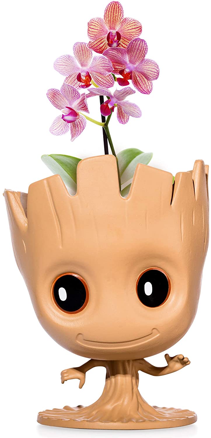 “I Am Groot” Flower Pot