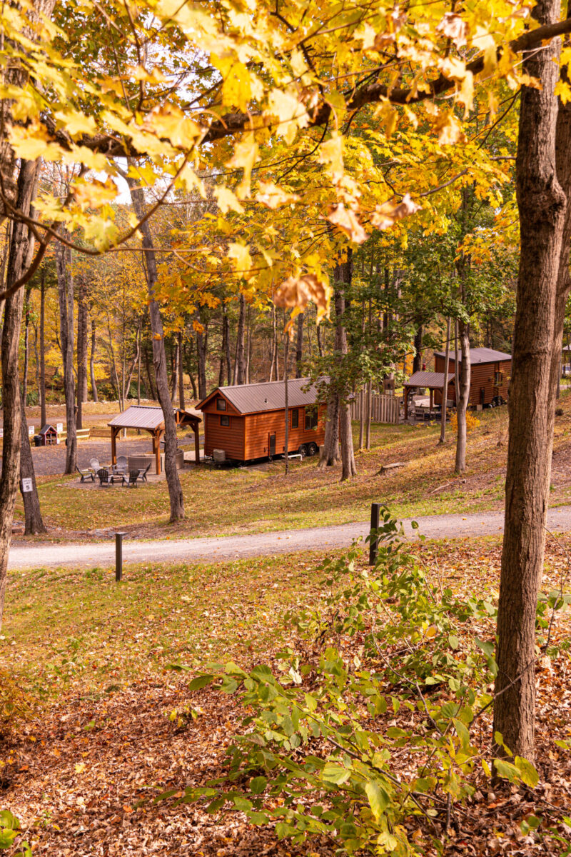 the grounds of think big a tiny house resort during fall