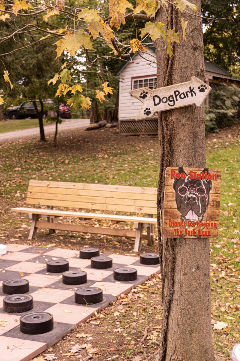 Myla's Dog Park At Think Big! A Tiny House Resort | Catskills, NY