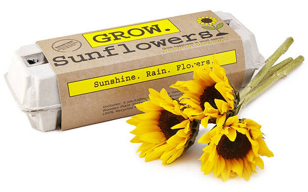 Sunflower-Garden-Grow-Kit