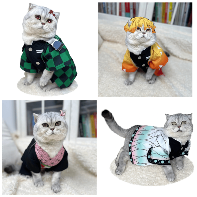 Demon Slayer Kimetsu no Yaiba Cat Costume Small Dog Cosplay Pet Clothes Tanjiro Zenitsu Nezuko Shinobu