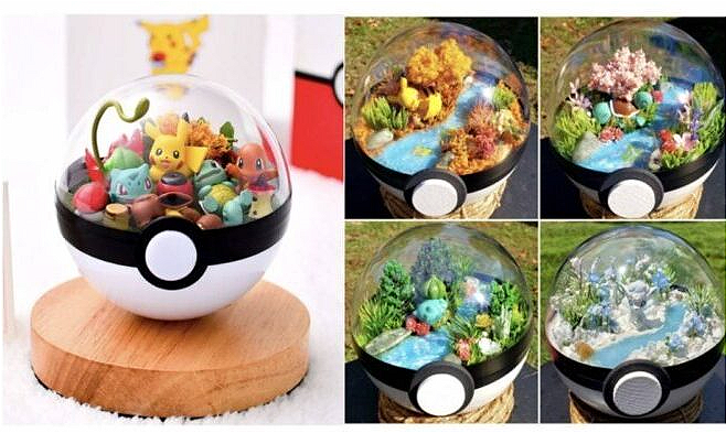 Pokemon Terrarium Gifts