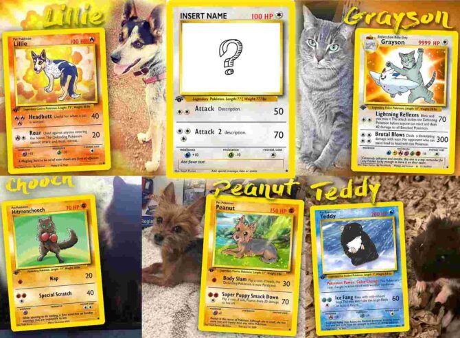 Your Pet as a Pokemon card customize personalize